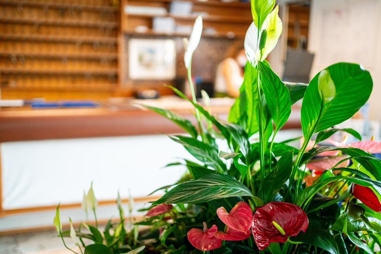 Hotel Stacchini เชเซนาติโก ภายนอก รูปภาพ